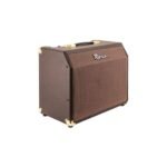 Ross A25C Amplificador Para acustica 25w Parlante 8" - Imagen 2