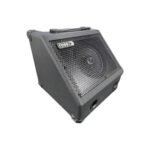 Ross DD-15 Amplificador Multipropósito 15W