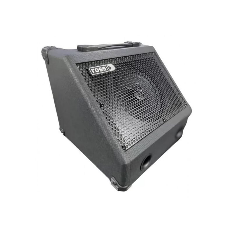 Ross DD-15 Amplificador Multipropósito 15W